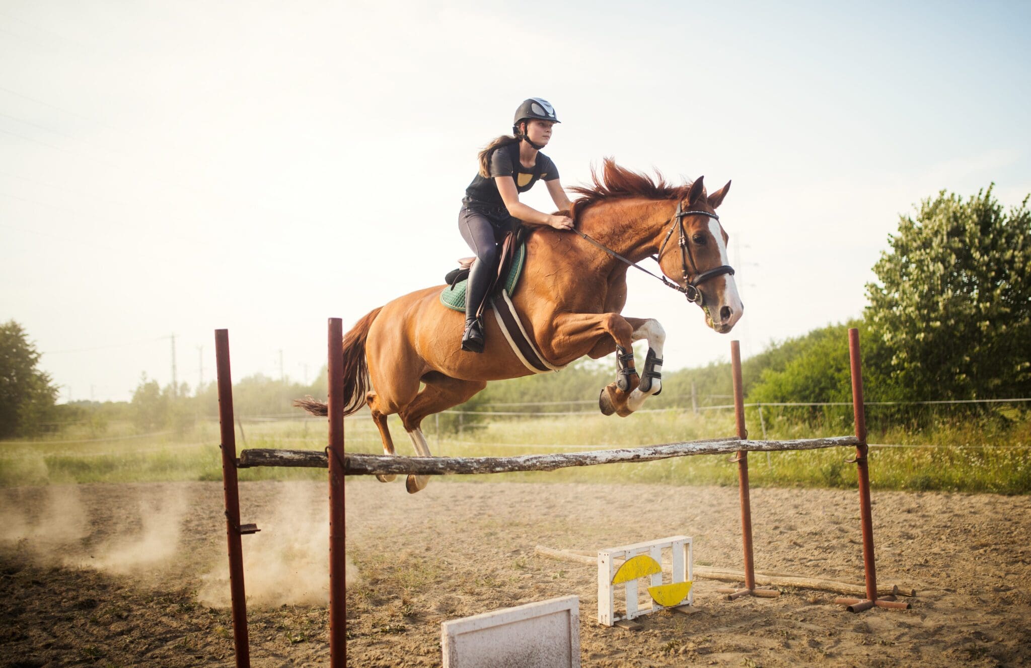 horse-jumping-168867861-washington-rock-quarries